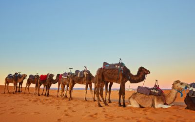 Journey Through Time and Sand: A Captivating 3 Days Tour From Marrakech To Merzouga