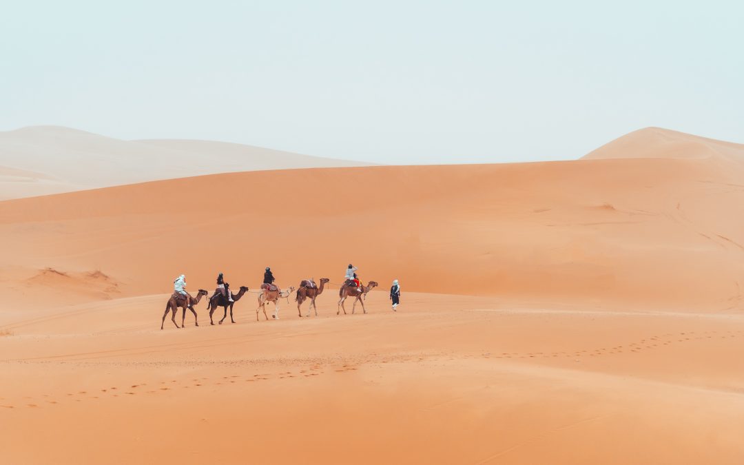 Experience authentic Moroccan culture on Morocco Tours From Casablanca, tailored for US travelers