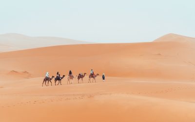 Experience authentic Moroccan culture on Morocco Tours From Casablanca, tailored for US travelers