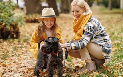 Experience pet friendly cabins in Branson MO this fall. Enjoy scenic trails, lakeside walks, and cozy lodging for you and your four legged friend.